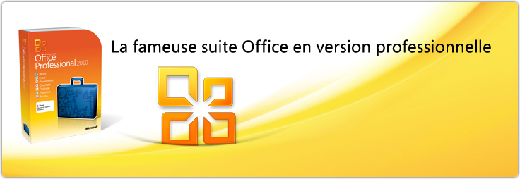 Office Professionnel 2010 (2 PC - Téléchargement)